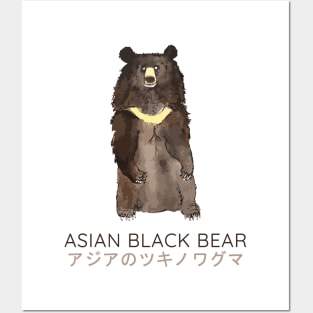 Asiatic Black Bear, Asian Black Bear, Moon Bear Posters and Art